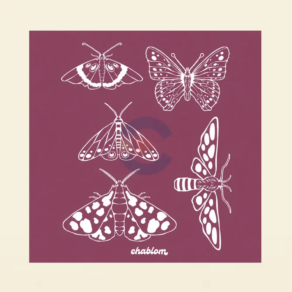 Silk Screen Printing 055 Chablom