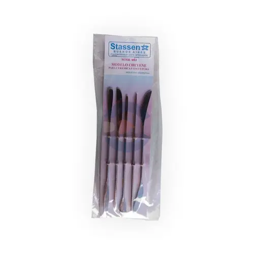 Set de Estecas de Acero Inoxidable Cheyene Stassen S402 x 5