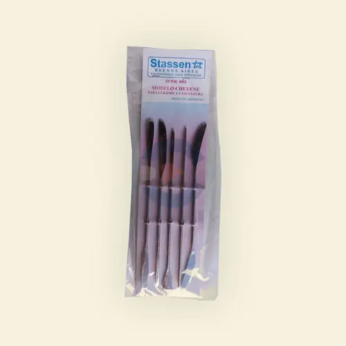 Set de Estecas de Acero Inoxidable Cheyene Stassen S402 x 5