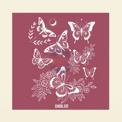 Silk Screen Printing 016 Chablom, foto 1