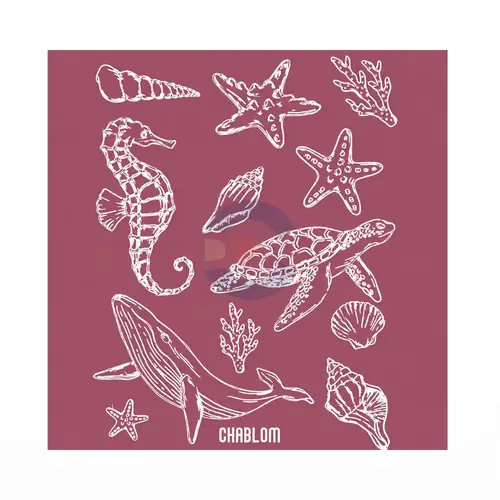 Silk Screen Printing 019 Chablom