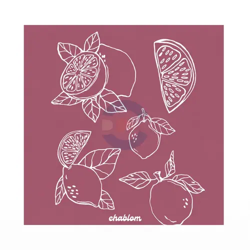 Silk Screen Printing 036 Chablom