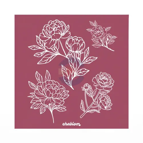 Silk Screen Printing 043 Chablom