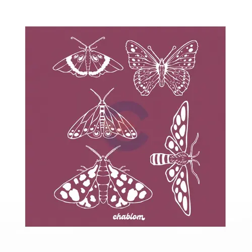 Silk Screen Printing 055 Chablom