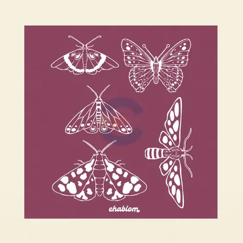 Silk Screen Printing 055 Chablom