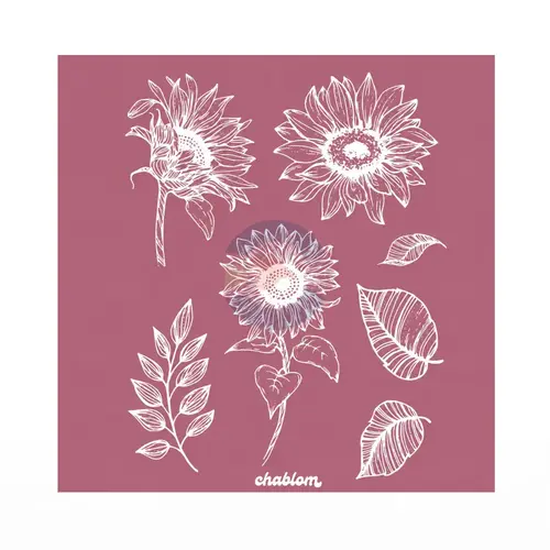 Silk Screen Printing 063 Chablom