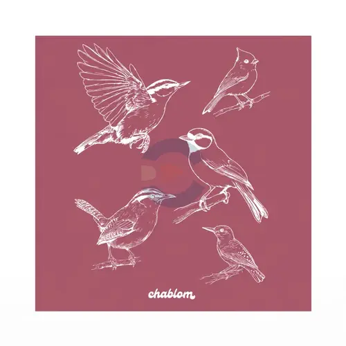 Silk Screen Printing 068 Chablom