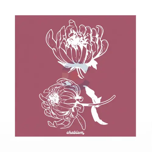Silk Screen Printing 090 Chablom
