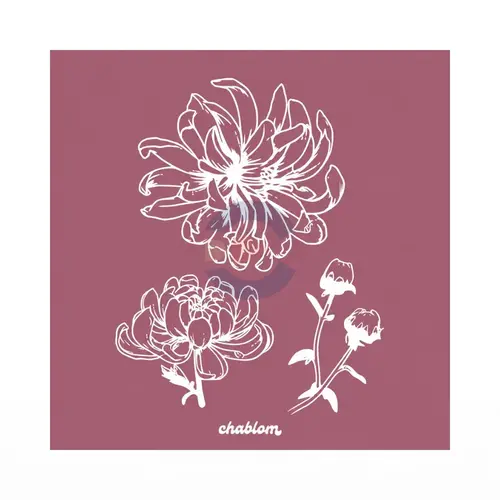 Silk Screen Printing 089 Chablom